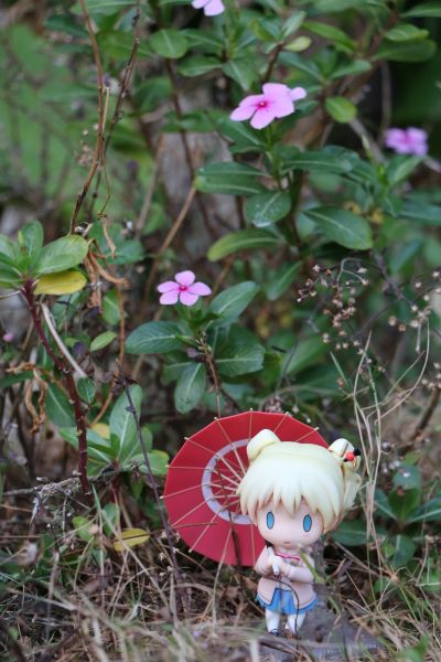 粘土人#547 Hello!!黄金拼图 爱丽丝