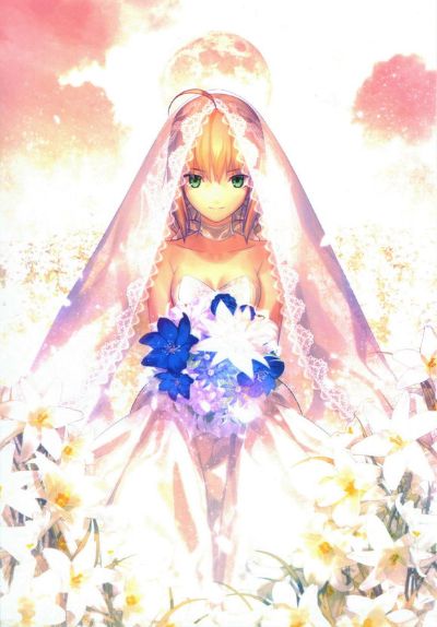 命运之夜 Saber ～TYPE-MOON10周年皇室礼服～