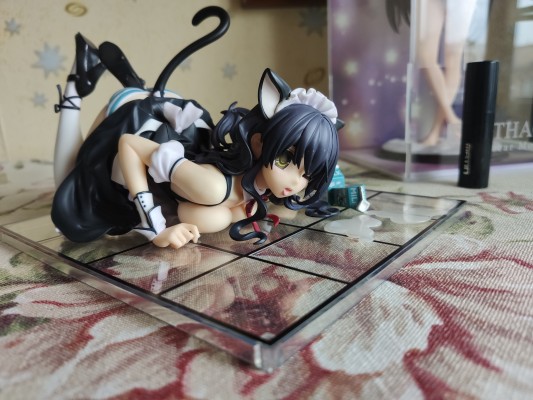 白嫖牛奶猫
