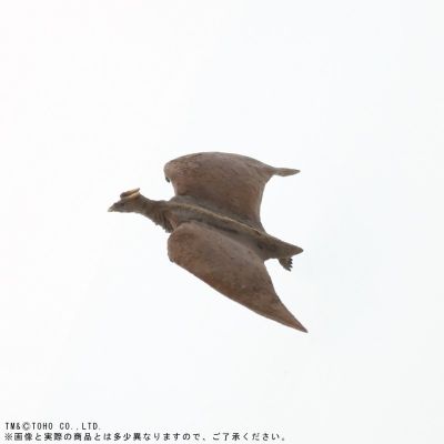 东宝大怪兽系列 拉顿（1956年版） 少年ric限定 再版