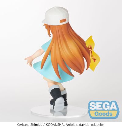 工作细胞 血小板 