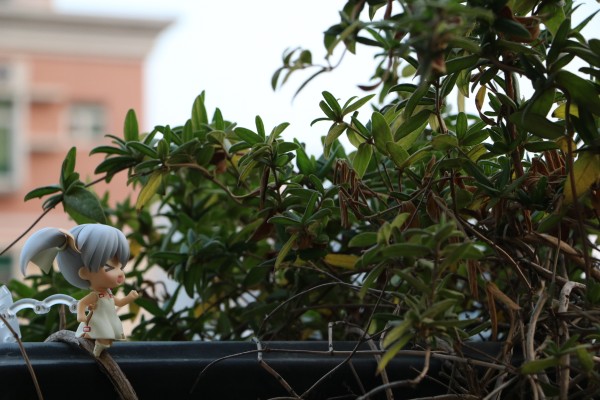 粘土人#547 Hello!!黄金拼图 爱丽丝