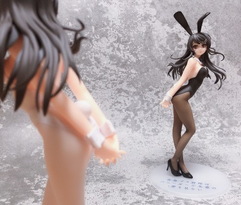 青春期笨蛋不做兔女郎学姐的梦 樱岛麻衣 白色兔女郎