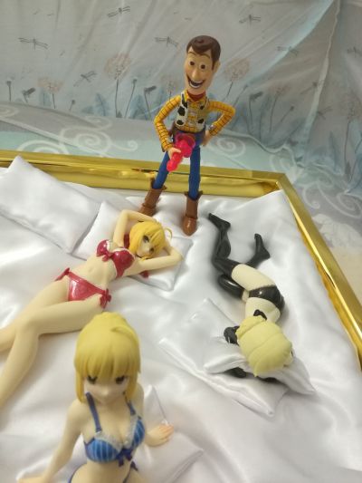 DreamTech 内衣Style Fate Saber&Saber Alter&Saber Extra&Saber Lily