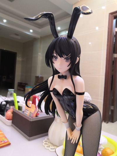 B-style 青春猪头少年不会梦到兔女郎学姐 樱岛麻衣 兔女郎