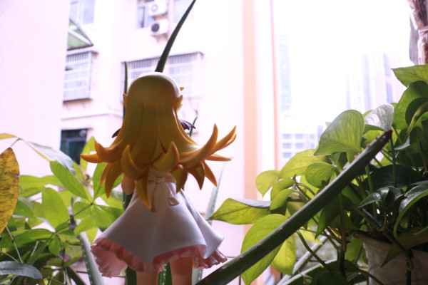 EXQ 〈物语〉系列 忍野忍