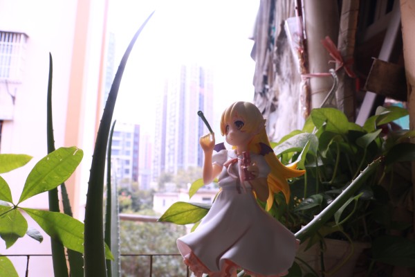 EXQ 〈物语〉系列 忍野忍