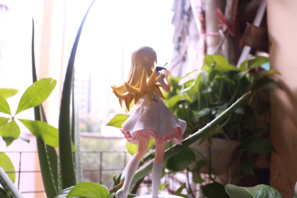 EXQ 〈物语〉系列 忍野忍