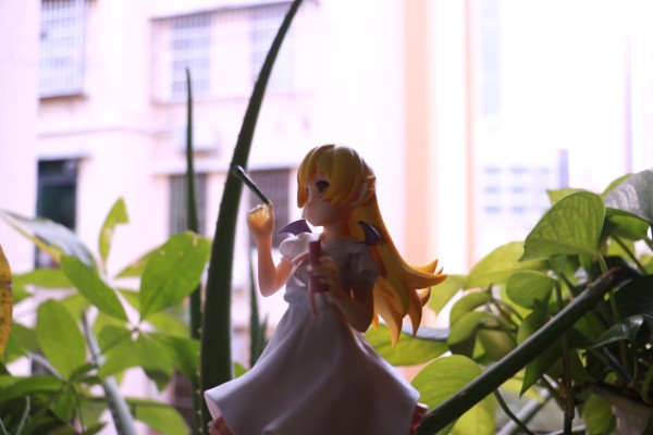 EXQ 〈物语〉系列 忍野忍