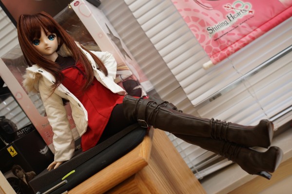 Dollfie Dream DD 魔法使之夜 苍崎青子