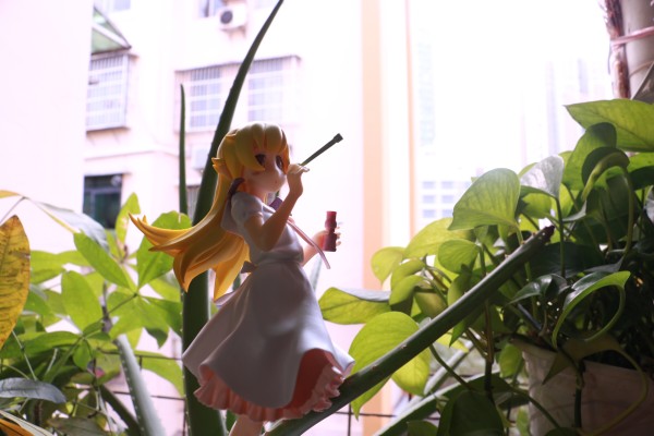 EXQ 〈物语〉系列 忍野忍