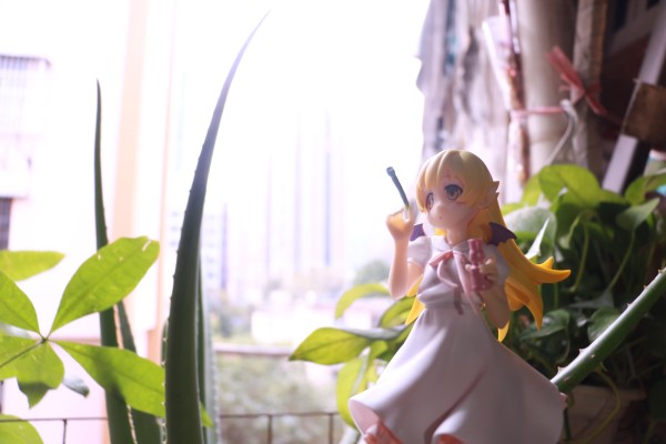 EXQ 〈物语〉系列 忍野忍