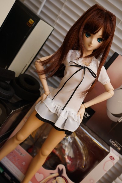 Dollfie Dream DD 魔法使之夜 苍崎青子