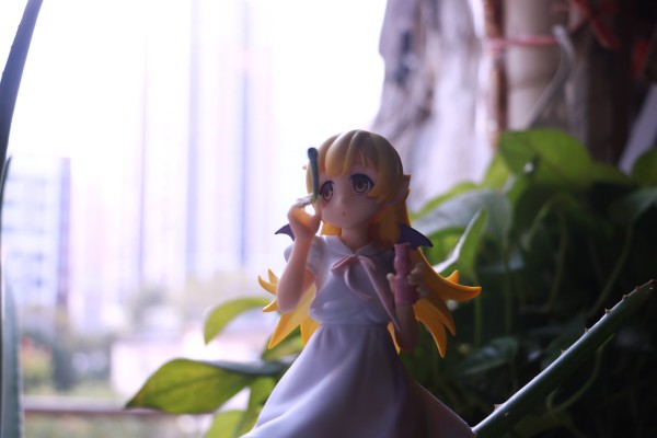 EXQ 〈物语〉系列 忍野忍