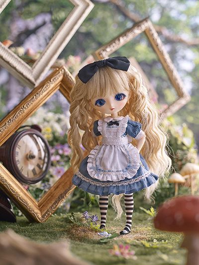 Harmonia bloom ALICE A