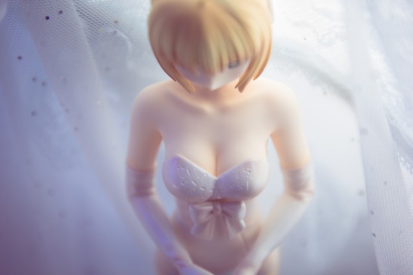 命运之夜 Saber ～TYPE-MOON10周年皇室礼服～