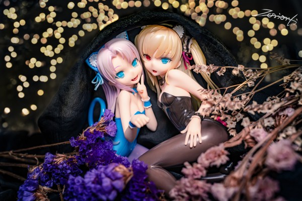 我的朋友很少 羽瀬川小鸠