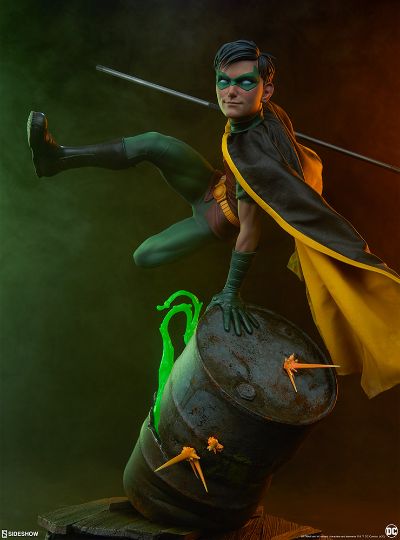 300748 19寸 DC经典角色 罗宾