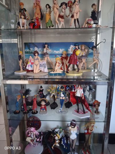 龙与虎 逢坂大河 水着Ver.