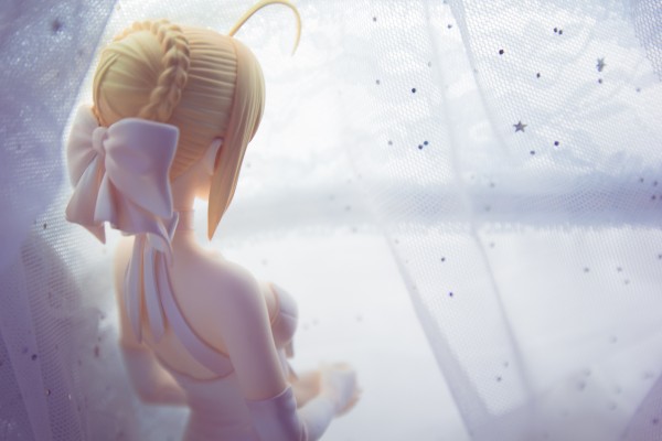 命运之夜 Saber ～TYPE-MOON10周年皇室礼服～