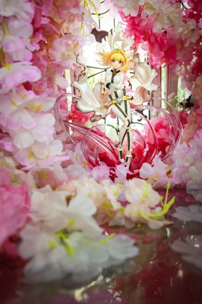 Saber Bide 特典版