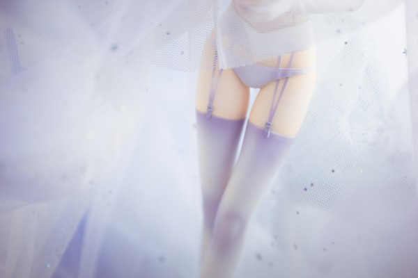 命运之夜 Saber ～TYPE-MOON10周年皇室礼服～