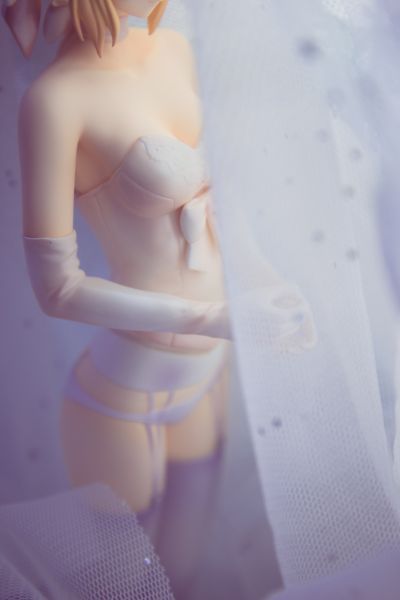 命运之夜 Saber ～TYPE-MOON10周年皇室礼服～
