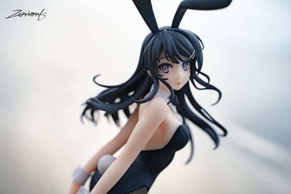 我的妹妹哪有这么可爱。第二季 黑猫 －回忆（夏コミ）－