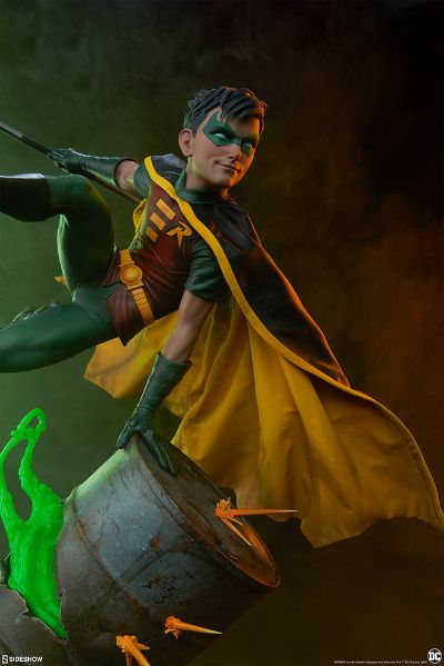 300748 19寸 DC经典角色 罗宾