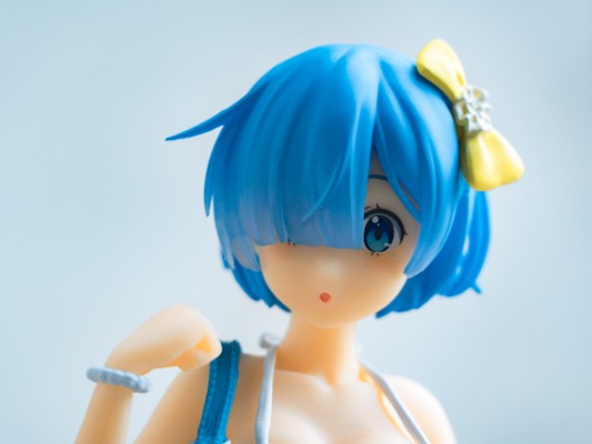 Re:从零开始的异世界生活 蕾姆 原创工衣泳装