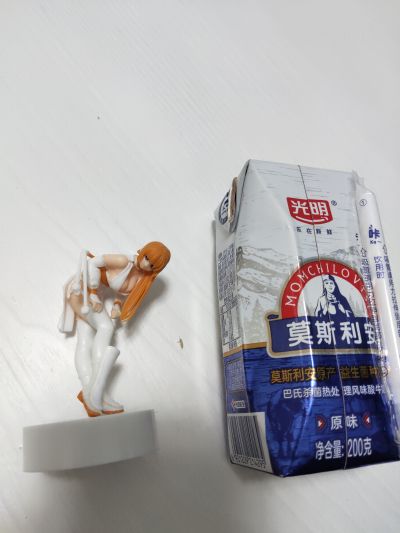 PLAMAX MF-EX01 Dead or Alive 霞 