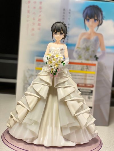 青春猪头少年不会梦到怀梦美少女 牧之原翔子 婚纱