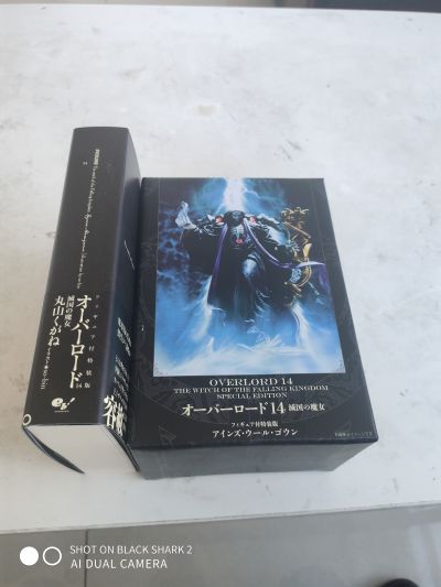 OVERLORD 	安兹·乌尔·恭