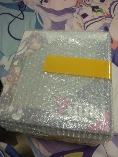 刀剑神域 第二季 有纪 圣母圣咏