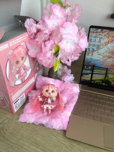 粘土人#500 樱花未来 在日本盛开