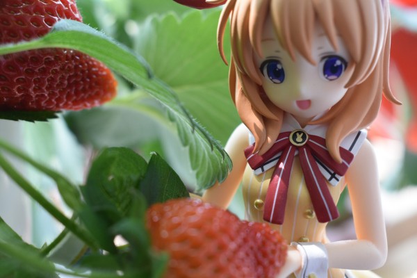 PM 手办 请问要来点兔子吗？？ 保登心爱