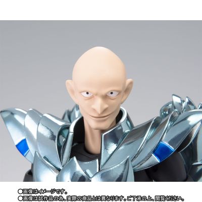 圣斗士圣衣神话 乌鸦座基米安