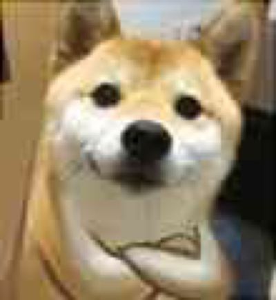 关于我转生变成史莱姆这档事 维鲁多拉·特恩佩斯特