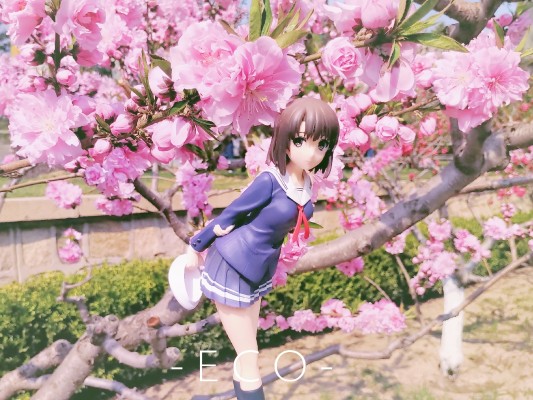 出门去公园散步