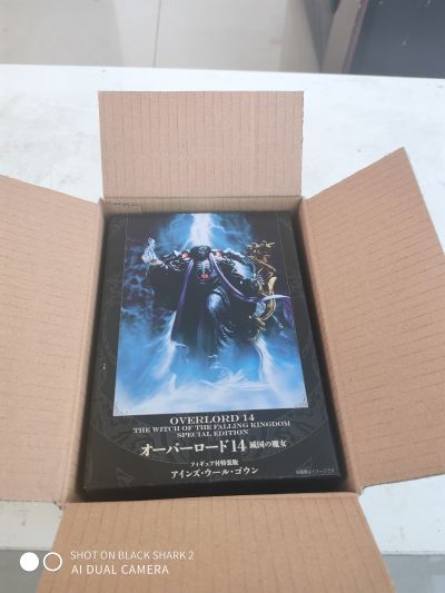 OVERLORD 	安兹·乌尔·恭