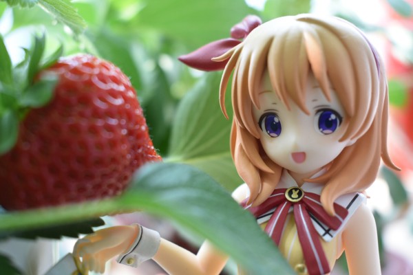 PM 手办 请问要来点兔子吗？？ 保登心爱