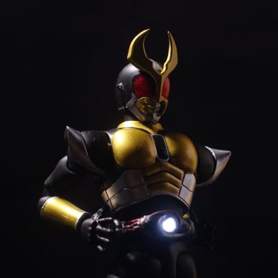S.H.Figuarts（真骨雕制法） 假面骑士亚极陀 假面骑士亚极陀 大地形态