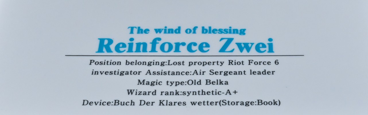 魔法少女奈叶StrikerS 天使之翼II