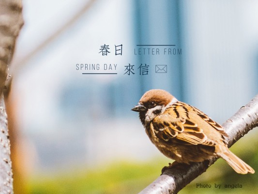 RG 1/144 RX-178 高达Mk-II（提坦斯样式）