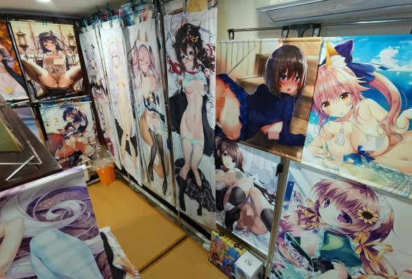 私人二次元娱乐室捣鼓成长记