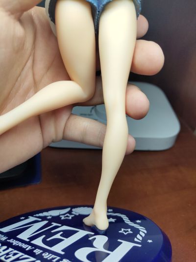 Precious Figure Re：从零开始的异世界生活 蕾姆 Smile