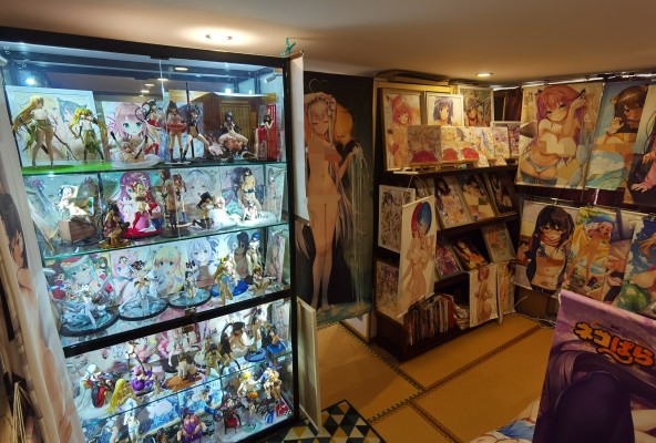 私人二次元娱乐室捣鼓成长记