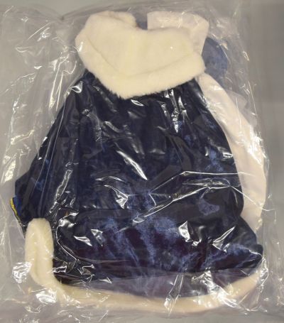 Dollfie Dream Sister DDS 命运-冠位指定 阿尔托莉雅·潘德拉贡