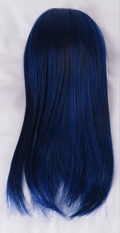 Dollfie Dream Sister DDS 偶像大师 如月千早