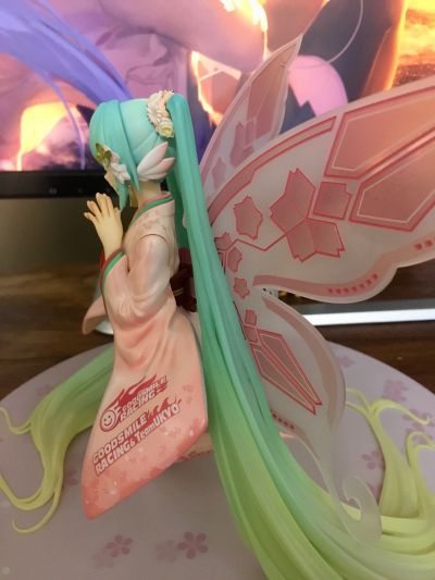 GOOD SMILE Racing 2017 初音未来 Spa应援Ver.